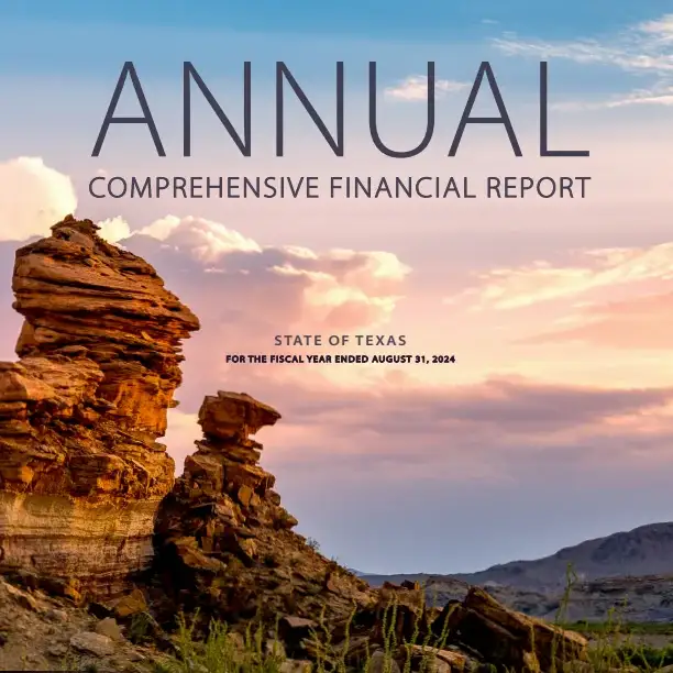 State of Texas annual financial report cover